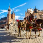 sejour pologne
