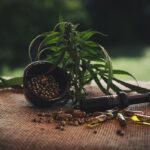 acheter CBD