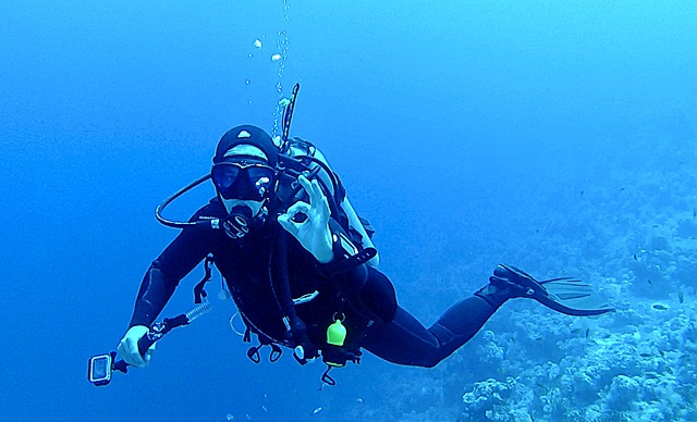 plongée sous-marine