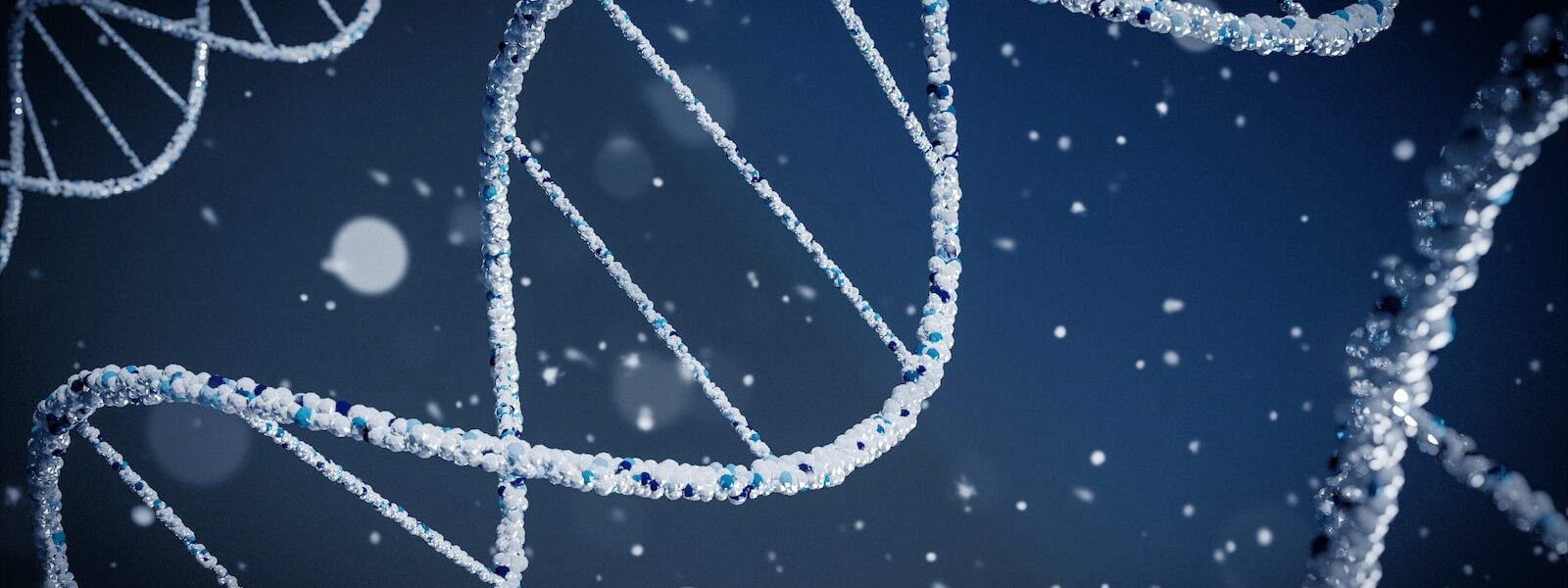 ADN extrait lors d'une analyse PCR dans un laboratoire en Belgique