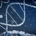 ADN extrait lors d'une analyse PCR dans un laboratoire en Belgique