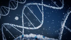 ADN extrait lors d'une analyse PCR dans un laboratoire en Belgique