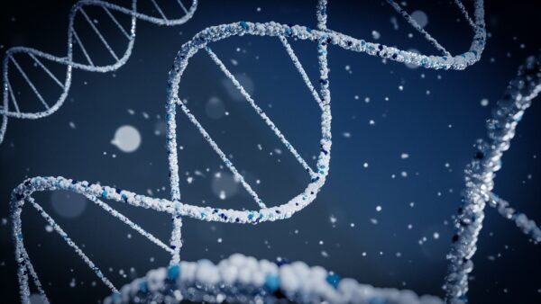 ADN extrait lors d'une analyse PCR dans un laboratoire en Belgique