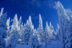 snow