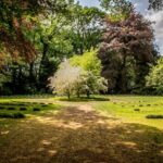 Paysagiste jardin de ville