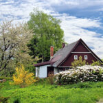 entretien de jardin