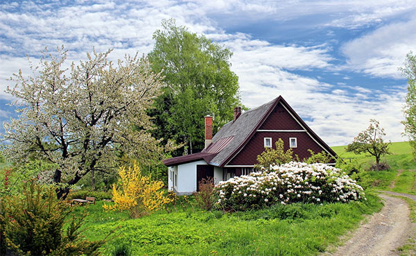 entretien de jardin