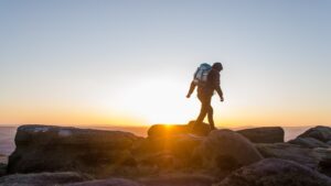 trekking en forêt