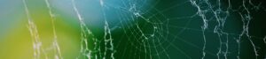 Internet, la toile qui captive notre attention