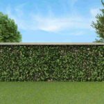 mur dans mon jardin