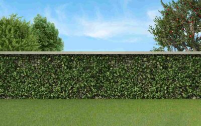 mur dans mon jardin
