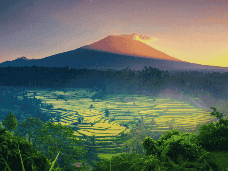 Bali 